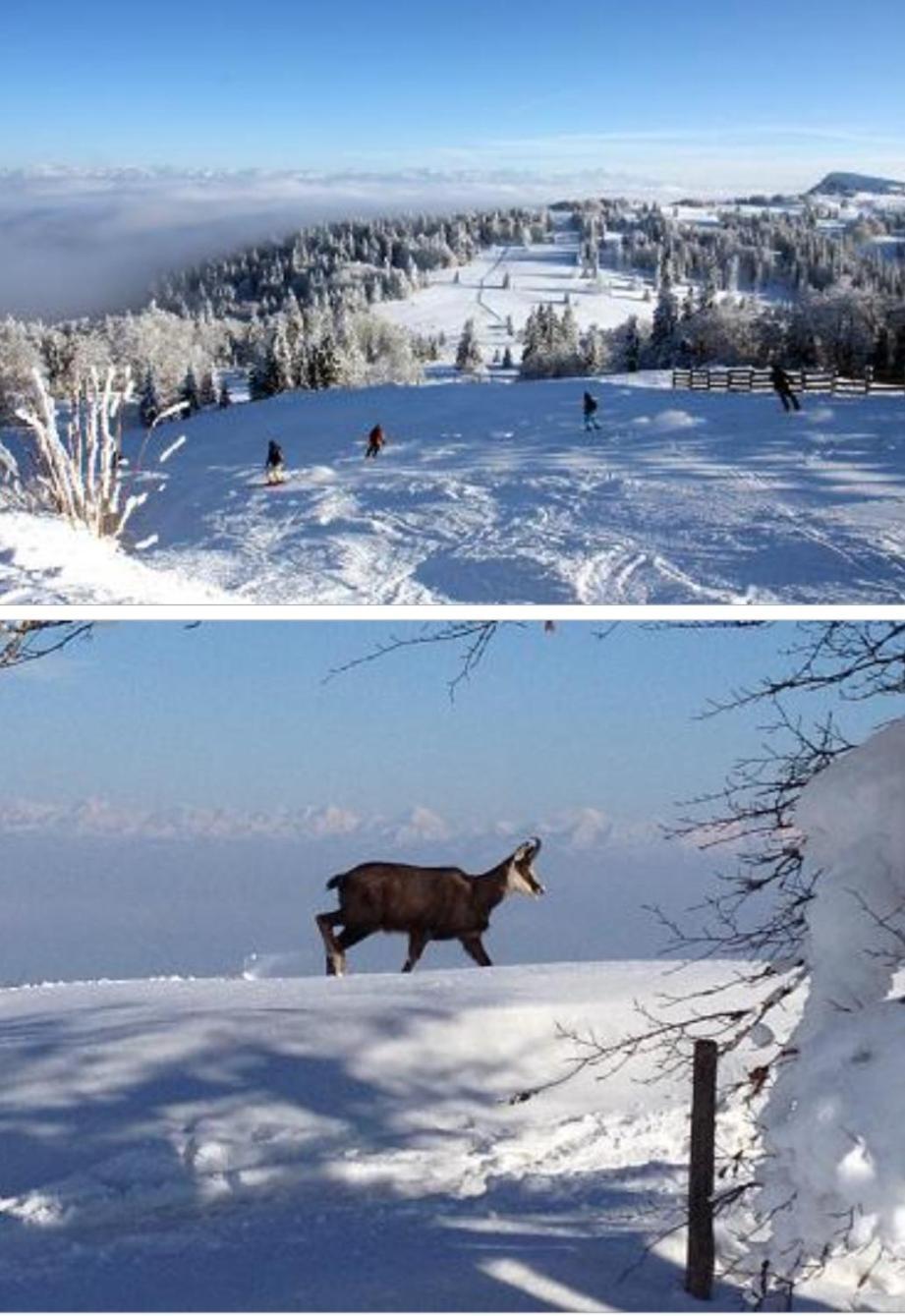 Appartement Le Chamois Mont D'Or à Métabief Extérieur photo